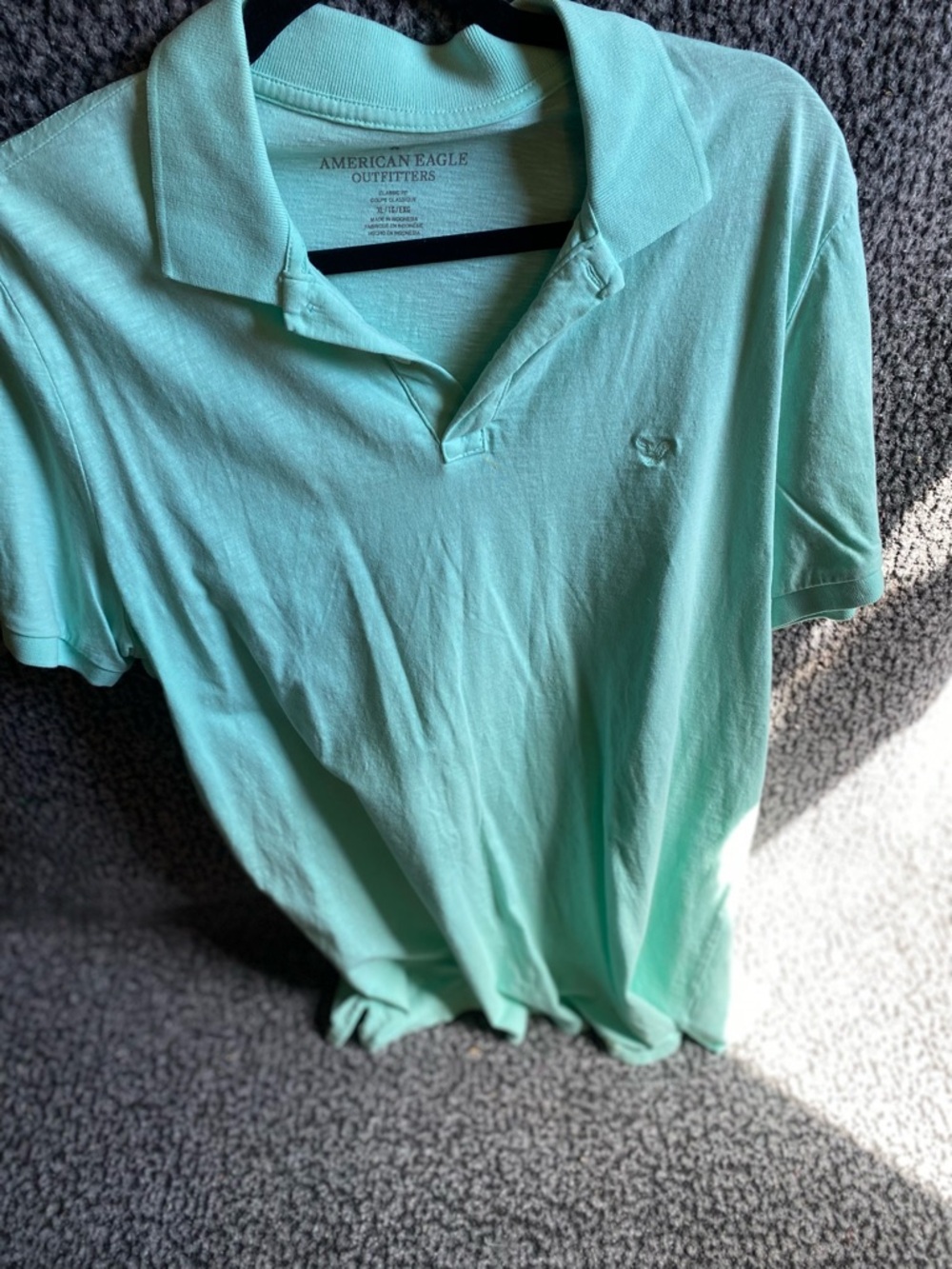 American Eagle Outfitters Men’s Mint Polo Shirt